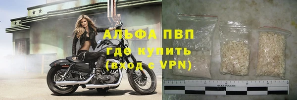 a pvp Аркадак