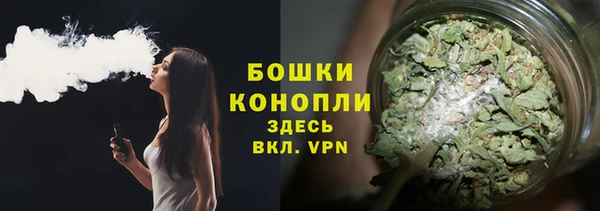a pvp Аркадак