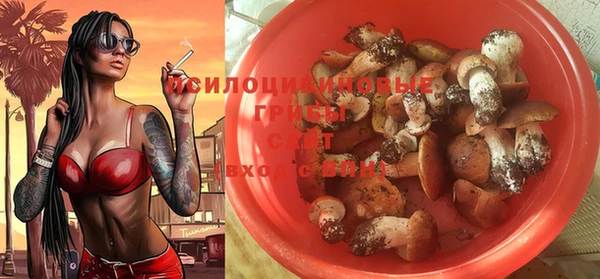 стафф Алзамай