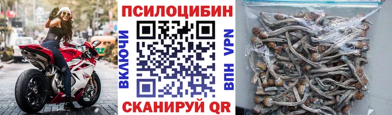 где продают наркотики  Боровичи  это клад  Галлюциногенные грибы прущие грибы 